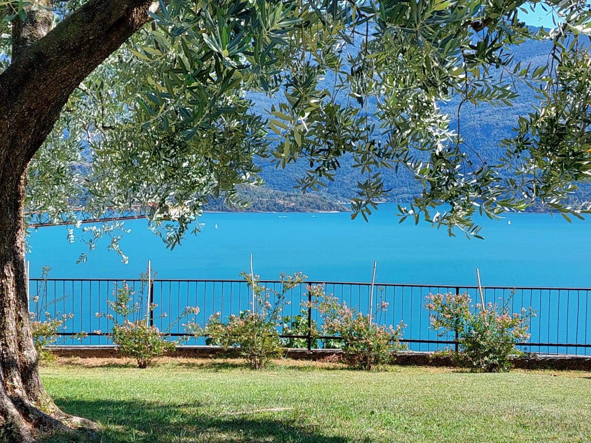 Casa Vacanze Perla Del Lago Domaso Extérieur photo